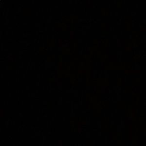 Meet your Posher, Shan